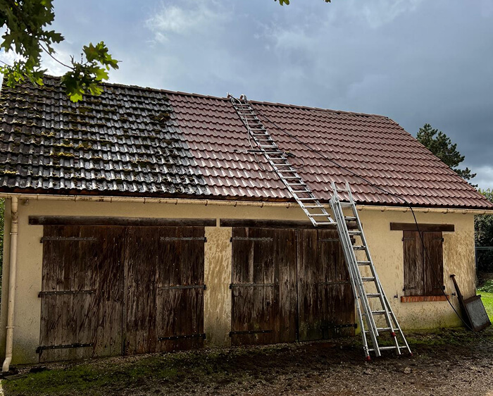 Artisan réalisant un nettoyage de toiture en Essonne par brossage manuel